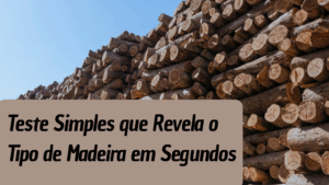 O Teste Simples que Revela o Tipo de Madeira em Segundos: O Guia Definitivo